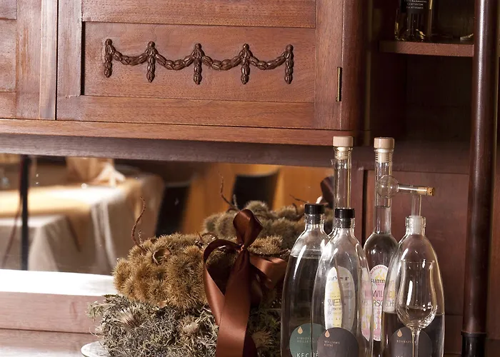 Hoher Freschen 4* Rankweil